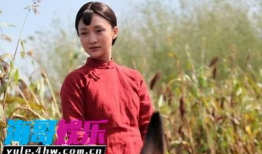 电视剧红高粱剧情简介,烽火岁月里的爱情与抗争