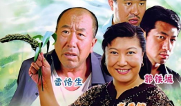 电视剧农村,农村生活的变迁与梦想