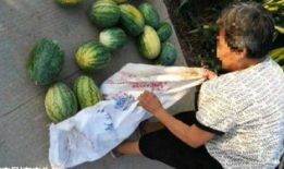 吃瓜最新事件爆料金乡,吃瓜群众揭秘最新事件内幕